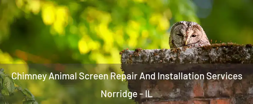  Chimney Animal Screen Repair And Installation Services Norridge - IL
