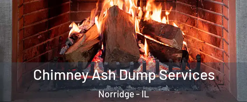  Chimney Ash Dump Services Norridge - IL