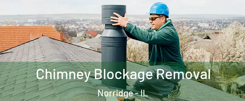  Chimney Blockage Removal Norridge - IL
