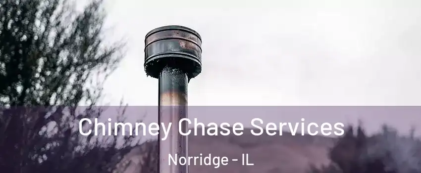  Chimney Chase Services Norridge - IL