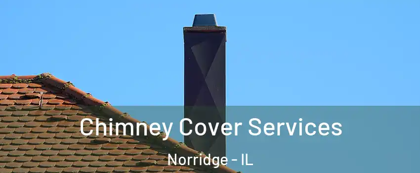  Chimney Cover Services Norridge - IL