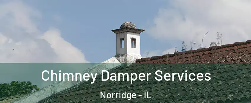  Chimney Damper Services Norridge - IL