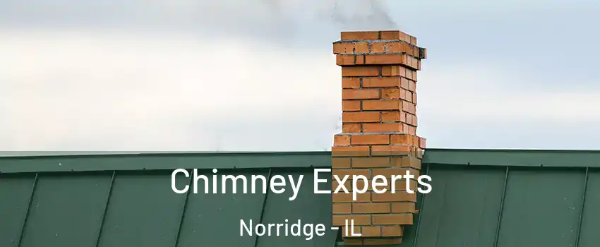  Chimney Experts Norridge - IL