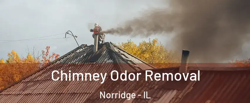  Chimney Odor Removal Norridge - IL