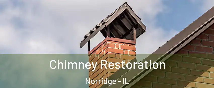  Chimney Restoration Norridge - IL