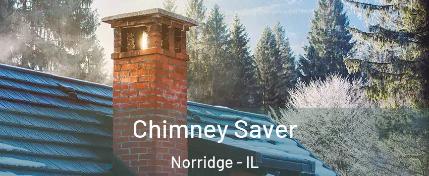  Chimney Saver Norridge - IL