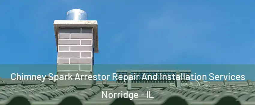  Chimney Spark Arrestor Repair And Installation Services Norridge - IL
