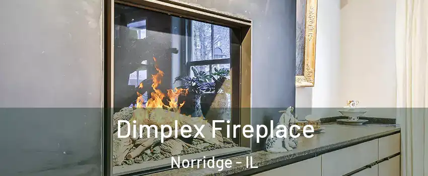  Dimplex Fireplace Norridge - IL