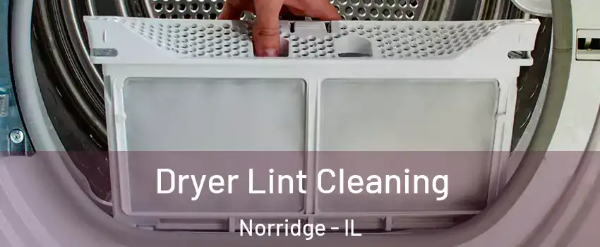  Dryer Lint Cleaning Norridge - IL
