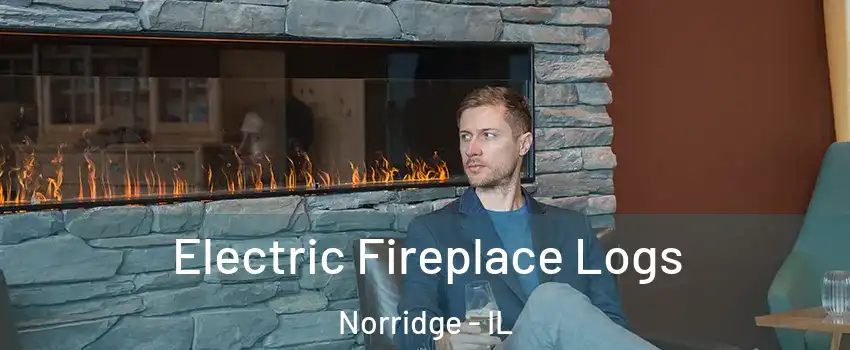  Electric Fireplace Logs Norridge - IL