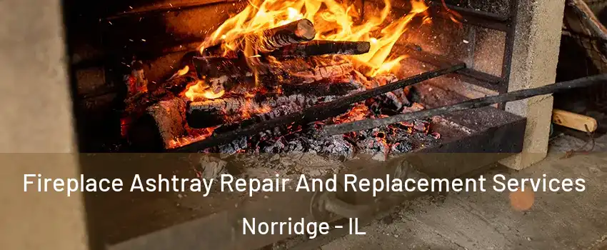 Fireplace Ashtray Repair And Replacement Services Norridge - IL