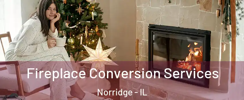  Fireplace Conversion Services Norridge - IL