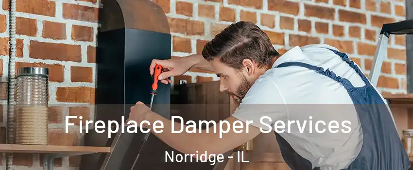  Fireplace Damper Services Norridge - IL