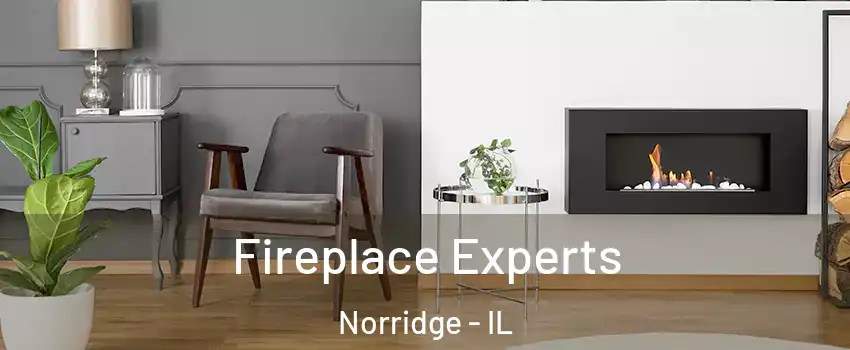  Fireplace Experts Norridge - IL