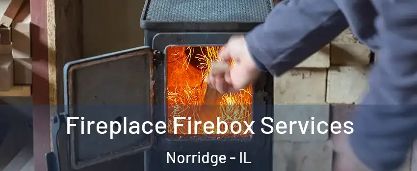  Fireplace Firebox Services Norridge - IL