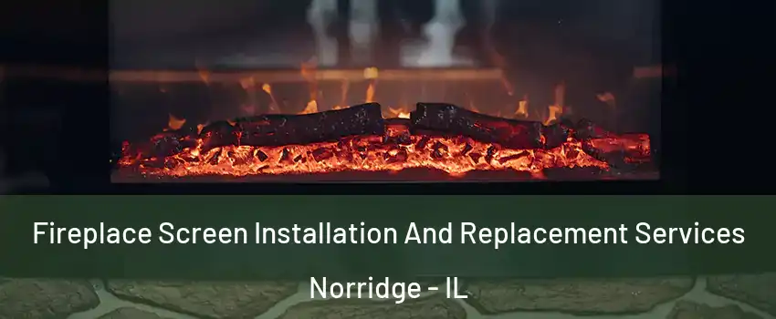  Fireplace Screen Installation And Replacement Services Norridge - IL