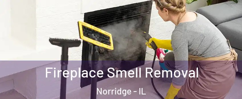  Fireplace Smell Removal Norridge - IL