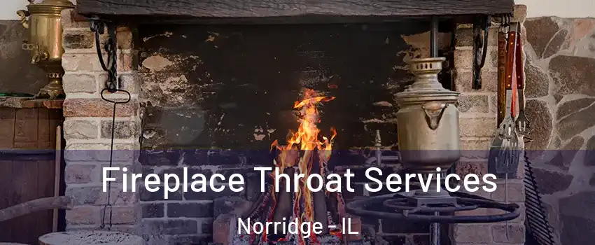  Fireplace Throat Services Norridge - IL
