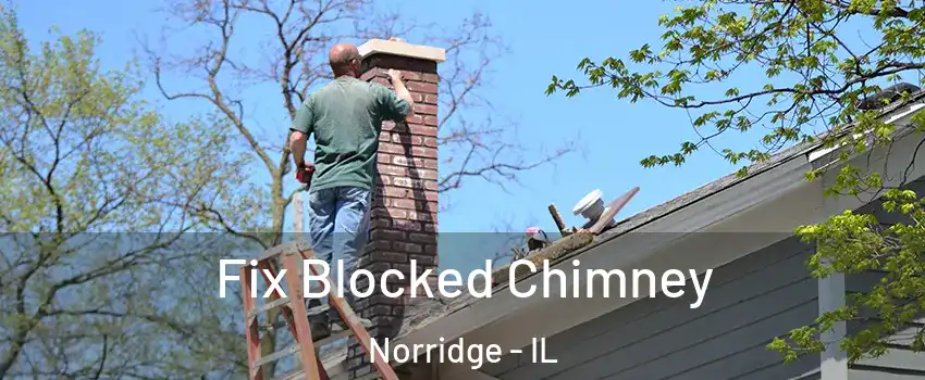  Fix Blocked Chimney Norridge - IL