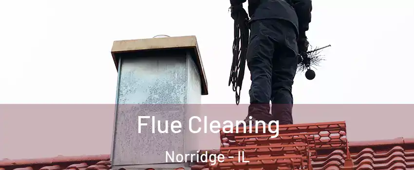  Flue Cleaning Norridge - IL
