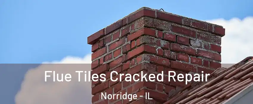  Flue Tiles Cracked Repair Norridge - IL