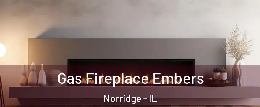  Gas Fireplace Embers Norridge - IL