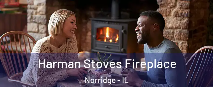  Harman Stoves Fireplace Norridge - IL