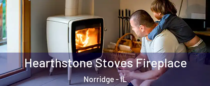  Hearthstone Stoves Fireplace Norridge - IL