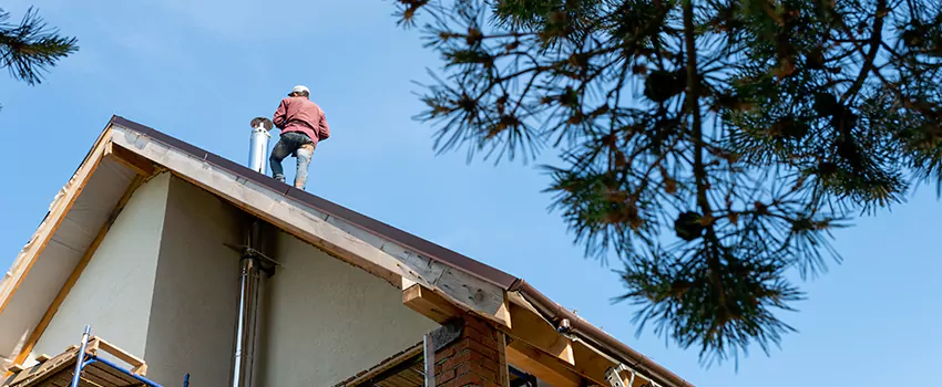 Birds Removal Contractors from Chimney in Norridge, IL