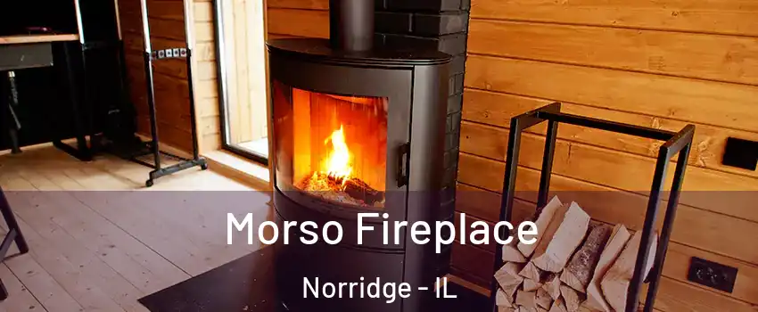  Morso Fireplace Norridge - IL