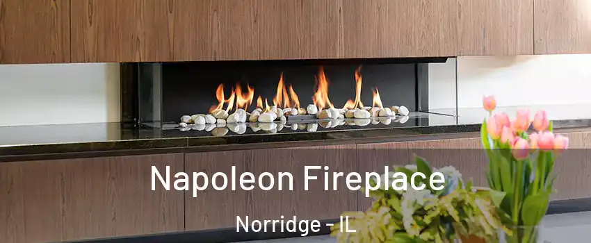  Napoleon Fireplace Norridge - IL