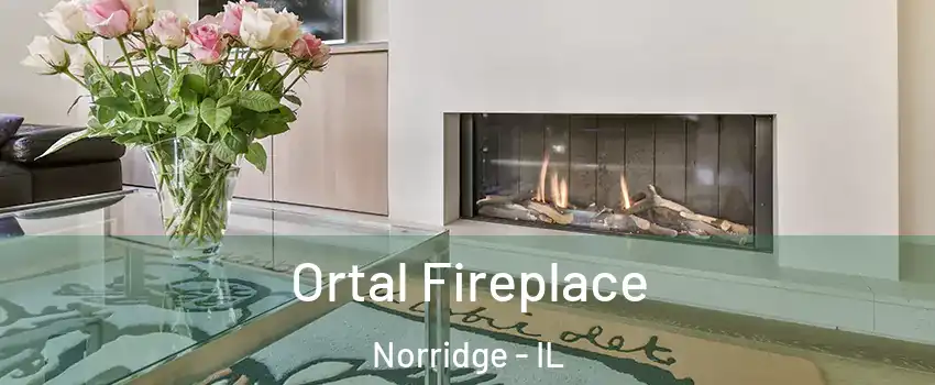  Ortal Fireplace Norridge - IL