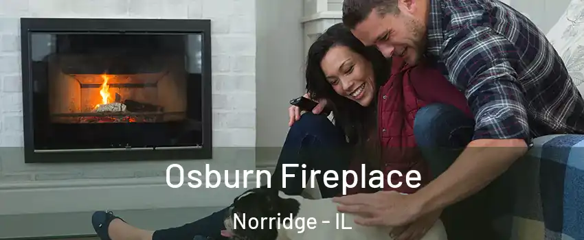  Osburn Fireplace Norridge - IL